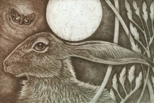 Juno Design Gallery | Artist Profile - Louise Scott