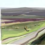 Summer on the Moor 20x6ins Print 136 Jill Ray