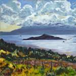 ArranFrom Above Fairlie Acrylic 355