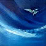 Artic Tern  40x40cm 417