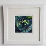 Blackbird on nest Framed open Print image size  6x6ins 85