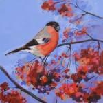 Bullfinch & Berries acrylic on Canvas 30x30cm 300