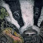 Badger 's Apple 4x4ins copper plate etching  110