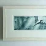 Tern 2 Original Etching image 18x7ins 175