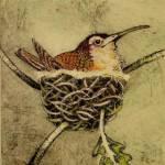 Happy Hummingbird copper plate etching 4x6ins 150