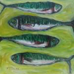 Mackerel 2  Acrylic 30x30cm 425