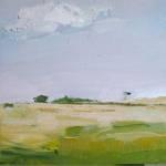 Open Field 30x30cm 250