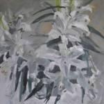 White Lillies 70x70cm 750